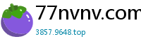 77nvnv.com